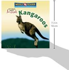 Image result for Reading Kangaroos