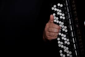 Image result for баян