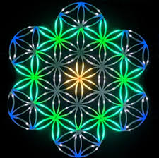 Image result for life flower