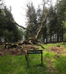 Image result for Savernake Badminton Club