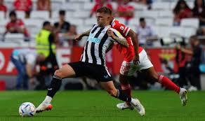 Image result for Kirkcaldy Bulls Flag football Club