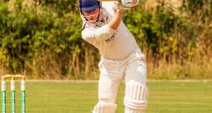 Image result for Effingham Cricket Club