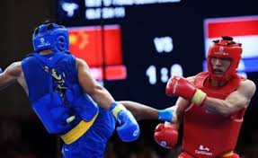 Image result for Southgate T`ai Tsung Chinese Boxing