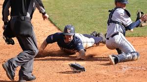 Image result for World Groundball Association