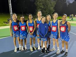 Image result for Waverley Netball Club
