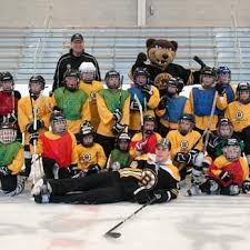 Image result for Chelmsford Hockey Club