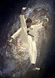 Image result for Devonport Shotokan Karate Club