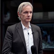 Image result for assange