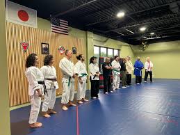 Image result for COURT FIELDS karate Academy