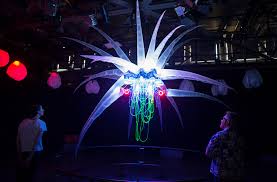 Image result for Exploratorium%20bubble