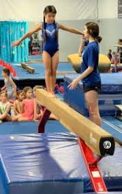Image result for Thornton Sport Gymnastics