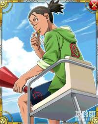 「うみのイルカ」の画像検索結果