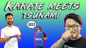 Image result for Tsunami Karate Club