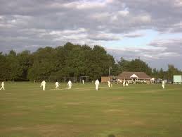 Image result for Henfield Cricket Club