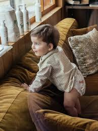 Attēlu rezultāti vaicājumam “Diaperis boleti imago”