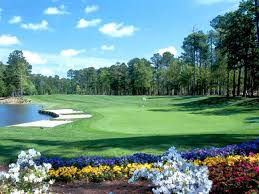 Image result for Blackmoor Golf Club