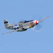 Image result for High Easter Cricket Club