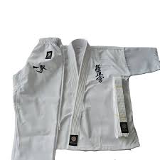 Image result for Kyoku Kenjutsu Kai