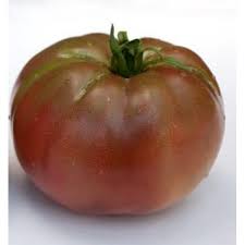 Afbeeldingsresultaat voor 1884 purple tomato