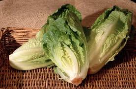 Image result for Römischer Salat