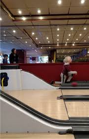 Image result for Bideford Bowling Club