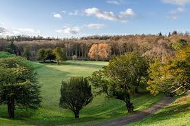 Image result for Dalkeith Park Equestrian Club