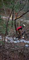 Image result for Bogtrotters Mountain Bike Club