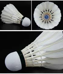 Image result for Feathers Badminton- Leatherhead