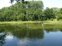 Image result for Vauxhall Angling Club