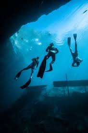 Image result for Blue Water Freediving School