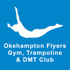 Image result for Gatwick Flyers Trampoline Club