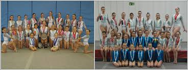 Image result for Uckfield Gymnastics Club