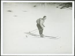 Image result for Gordon Skiers