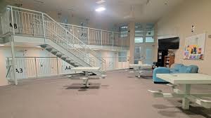 Attēlu rezultāti vaicājumam “juvenile”