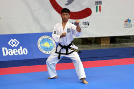 Image result for English International Allstyles Taekwon-Do