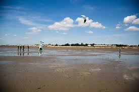 Image result for Essex Kitesurf Club