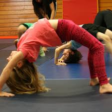Image result for Tamworth Olympic Gymnastics Club