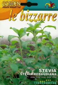 Image result for Stevia rebaudiana
