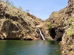 Billedresultat for kakadu n...