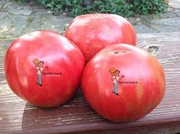 Afbeeldingsresultaat voor stump of the world tomato