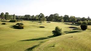 Image result for Downshire Golf Complex