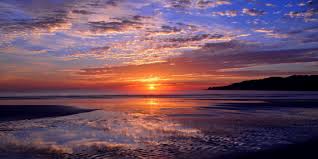 Image result for Bushiki Kwai