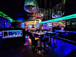 Image result for Pioneers Badminton Club