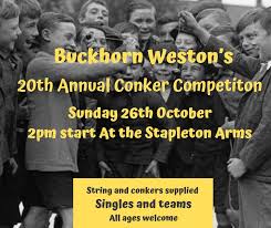 Image result for Buckhorn Weston Cricket Club