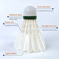 Image result for Feathers Badminton- Leatherhead