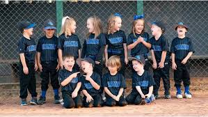 Image result for Bower Eagles Junior Badminton Club