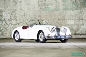 Image result for Old English White 1955 Jaguar