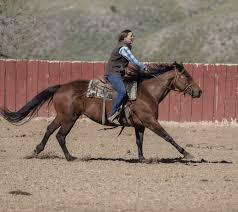 Image result for Ingarfield Condor Team