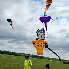 Image result for Brighton Kite Fliers