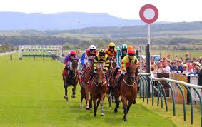 Image result for Redcar Race Walking Club